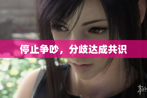 停止争吵，分歧达成共识