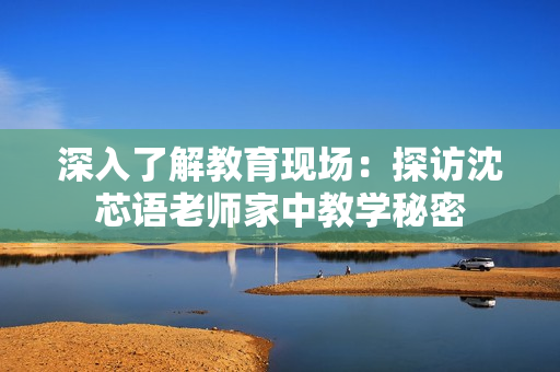深入了解教育现场：探访沈芯语老师家中教学秘密