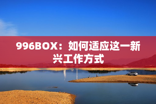 996BOX：如何适应这一新兴工作方式