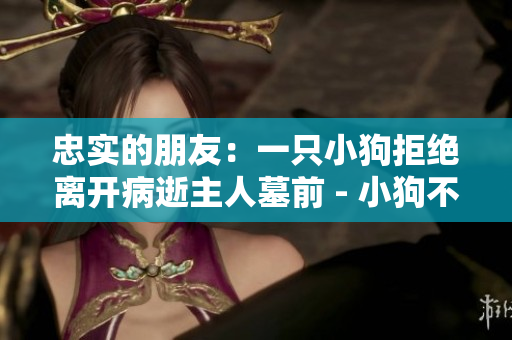 忠实的朋友：一只小狗拒绝离开病逝主人墓前 - 小狗不离不弃，陪伴主人直到生命尽头