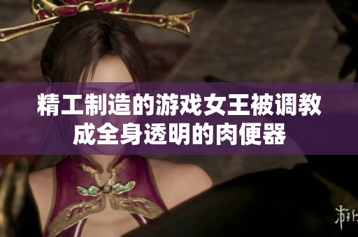 精工制造的游戏女王被调教成全身透明的肉便器