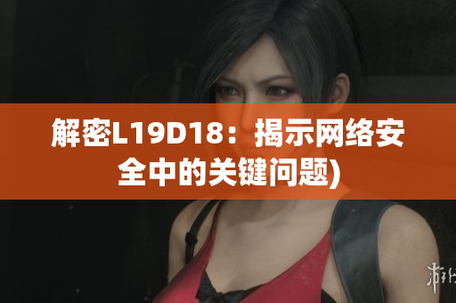 解密L19D18：揭示网络安全中的关键问题)