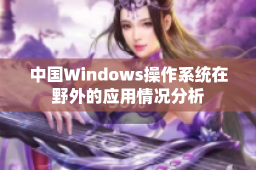中国Windows操作系统在野外的应用情况分析