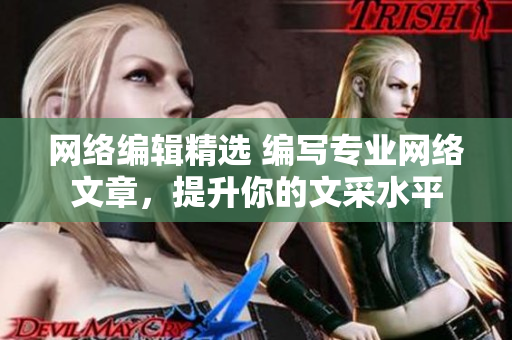 网络编辑精选 编写专业网络文章，提升你的文采水平