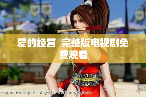 爱的经营  完整版电视剧免费观看