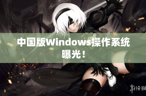 中国版Windows操作系统曝光！
