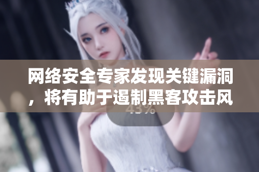 网络安全专家发现关键漏洞，将有助于遏制黑客攻击风险