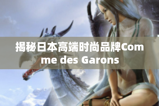 揭秘日本高端时尚品牌Comme des Garons