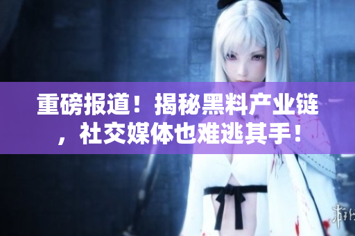 重磅报道！揭秘黑料产业链，社交媒体也难逃其手！