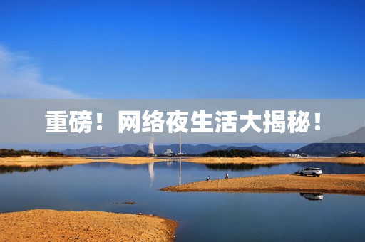 重磅！网络夜生活大揭秘！