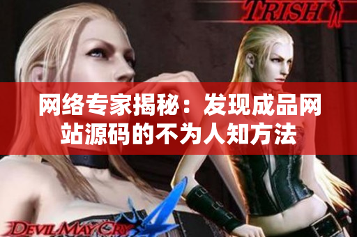 网络专家揭秘：发现成品网站源码的不为人知方法
