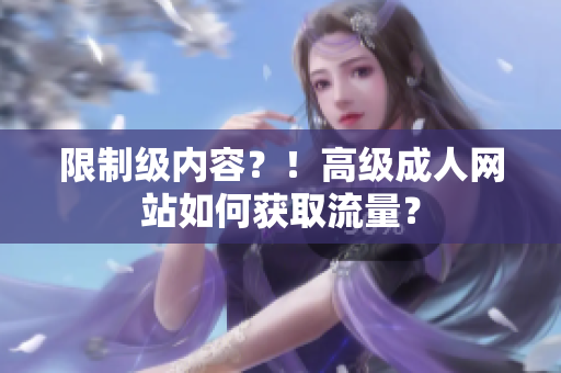 限制级内容？！高级成人网站如何获取流量？