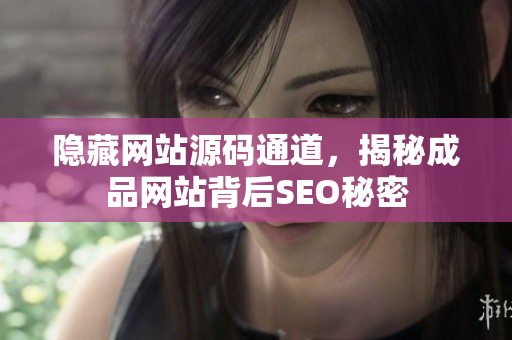 隐藏网站源码通道，揭秘成品网站背后SEO秘密
