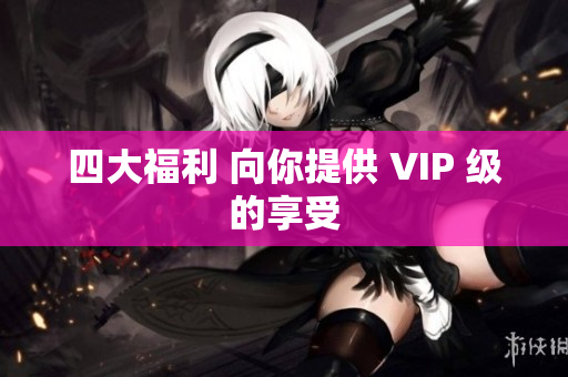 四大福利 向你提供 VIP 级的享受