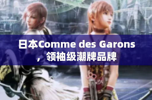 日本Comme des Garons，领袖级潮牌品牌