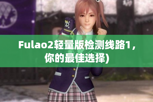 Fulao2轻量版检测线路1，你的最佳选择)