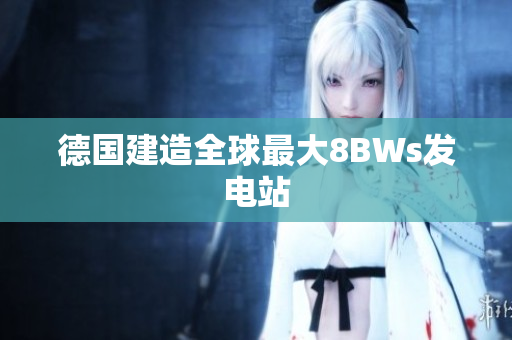 德国建造全球最大8BWs发电站