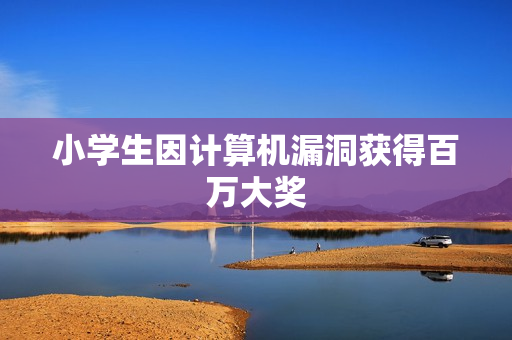 小学生因计算机漏洞获得百万大奖