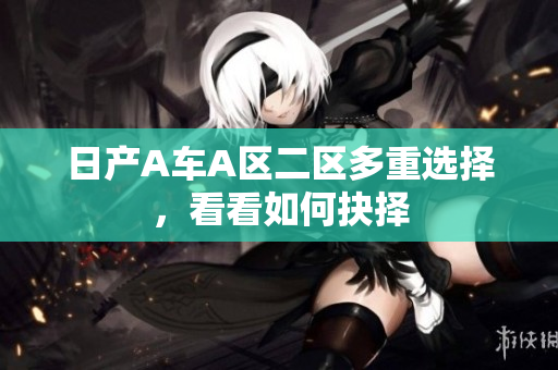 日产A车A区二区多重选择，看看如何抉择