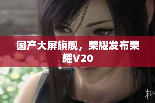 国产大屏旗舰，荣耀发布荣耀V20