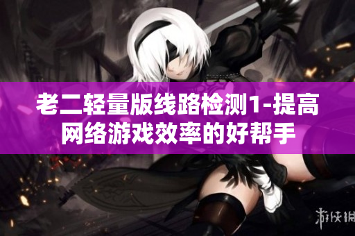 老二轻量版线路检测1-提高网络游戏效率的好帮手