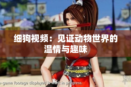 细狗视频：见证动物世界的温情与趣味