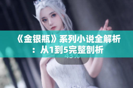《金银瓶》系列小说全解析：从1到5完整剖析