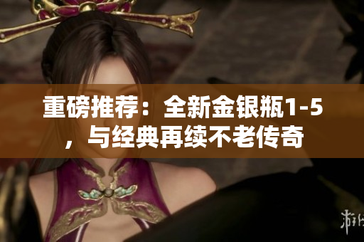 重磅推荐：全新金银瓶1-5，与经典再续不老传奇