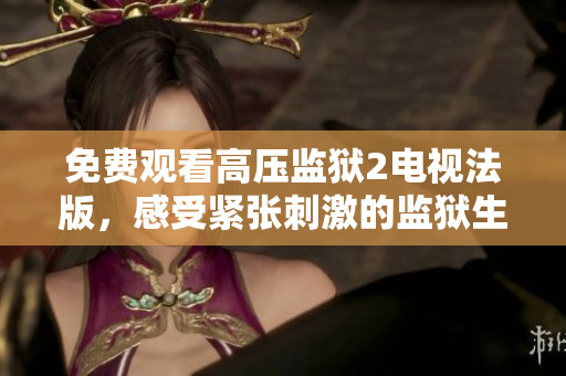 免费观看高压监狱2电视法版，感受紧张刺激的监狱生活