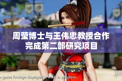 周莹博士与王伟忠教授合作完成第二部研究项目