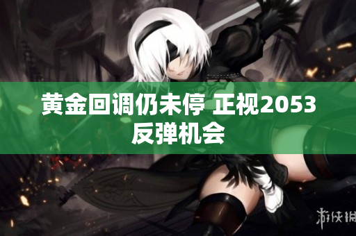 黄金回调仍未停 正视2053反弹机会