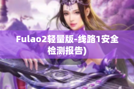 Fulao2轻量版-线路1安全检测报告)