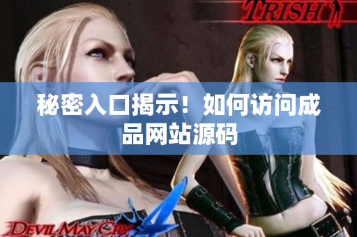 秘密入口揭示！如何访问成品网站源码