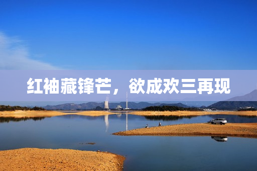 红袖藏锋芒，欲成欢三再现