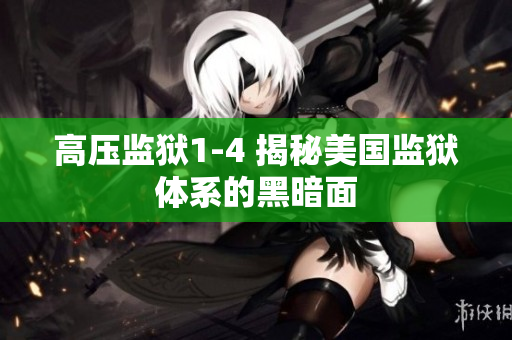 高压监狱1-4 揭秘美国监狱体系的黑暗面