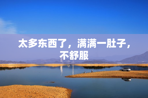 太多东西了，满满一肚子，不舒服