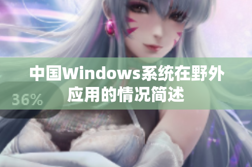 中国Windows系统在野外应用的情况简述