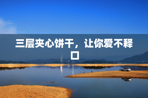 三层夹心饼干，让你爱不释口