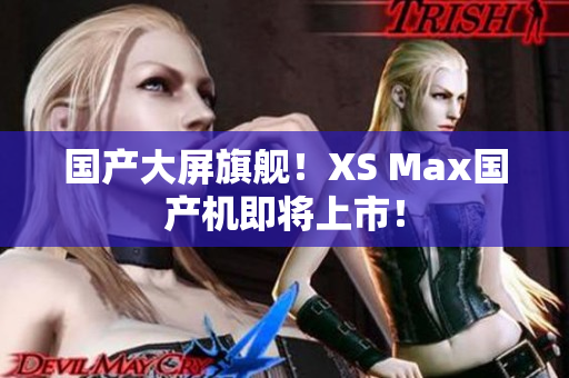 国产大屏旗舰！XS Max国产机即将上市！