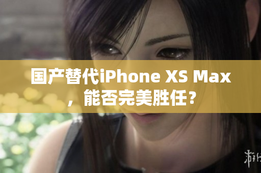 国产替代iPhone XS Max，能否完美胜任？