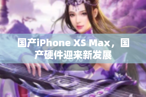 国产iPhone XS Max，国产硬件迎来新发展