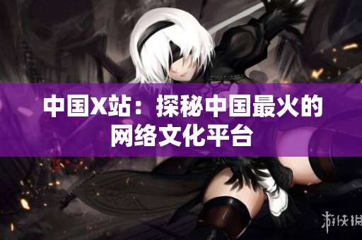 中国X站：探秘中国最火的网络文化平台