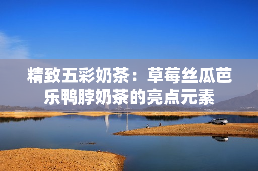 精致五彩奶茶：草莓丝瓜芭乐鸭脖奶茶的亮点元素