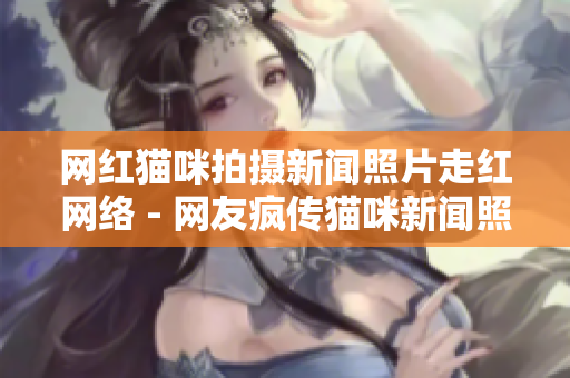 网红猫咪拍摄新闻照片走红网络 - 网友疯传猫咪新闻照片，网红趋势再起