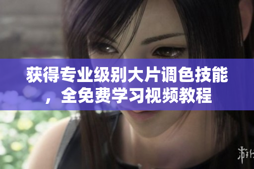 获得专业级别大片调色技能，全免费学习视频教程