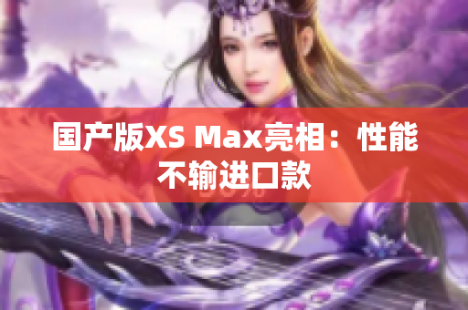 国产版XS Max亮相：性能不输进口款
