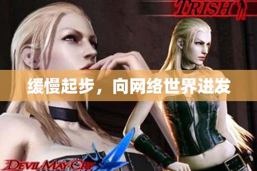缓慢起步，向网络世界进发