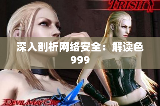 深入剖析网络安全：解读色999