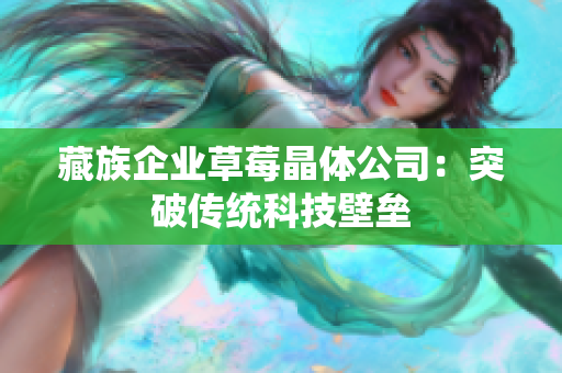 藏族企业草莓晶体公司：突破传统科技壁垒