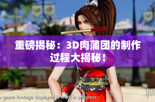 重磅揭秘：3D肉蒲团的制作过程大揭秘！